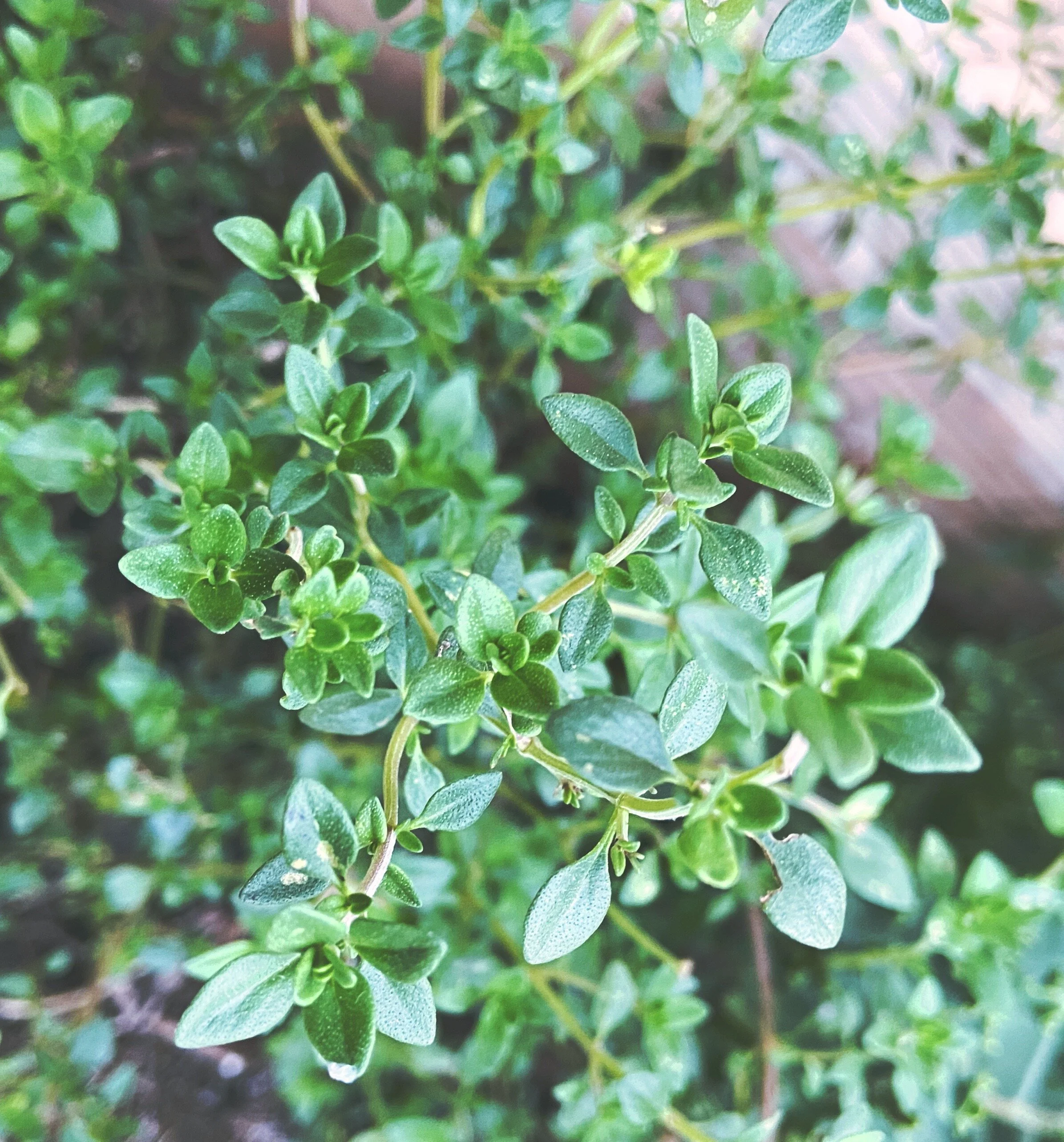 809124FD-6066-413D-8539-63259F673AF3