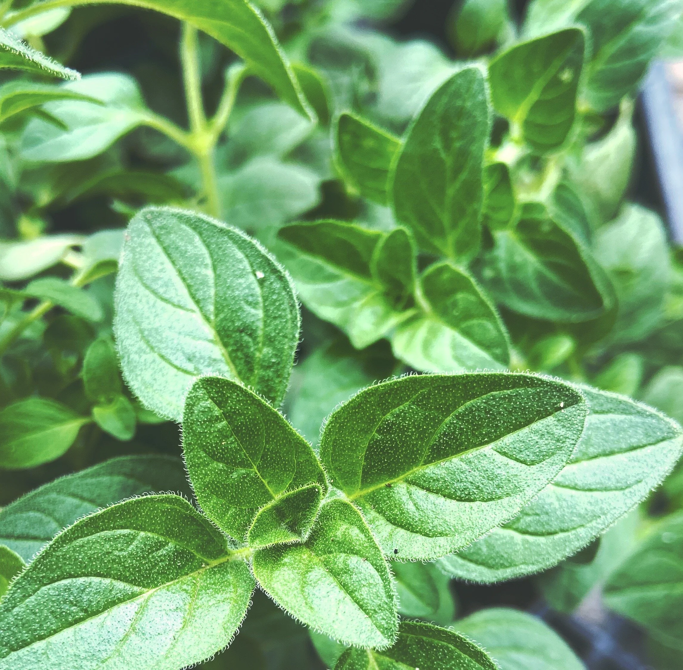 5E65805C-1A95-45FC-853A-2FAD77CAA00A