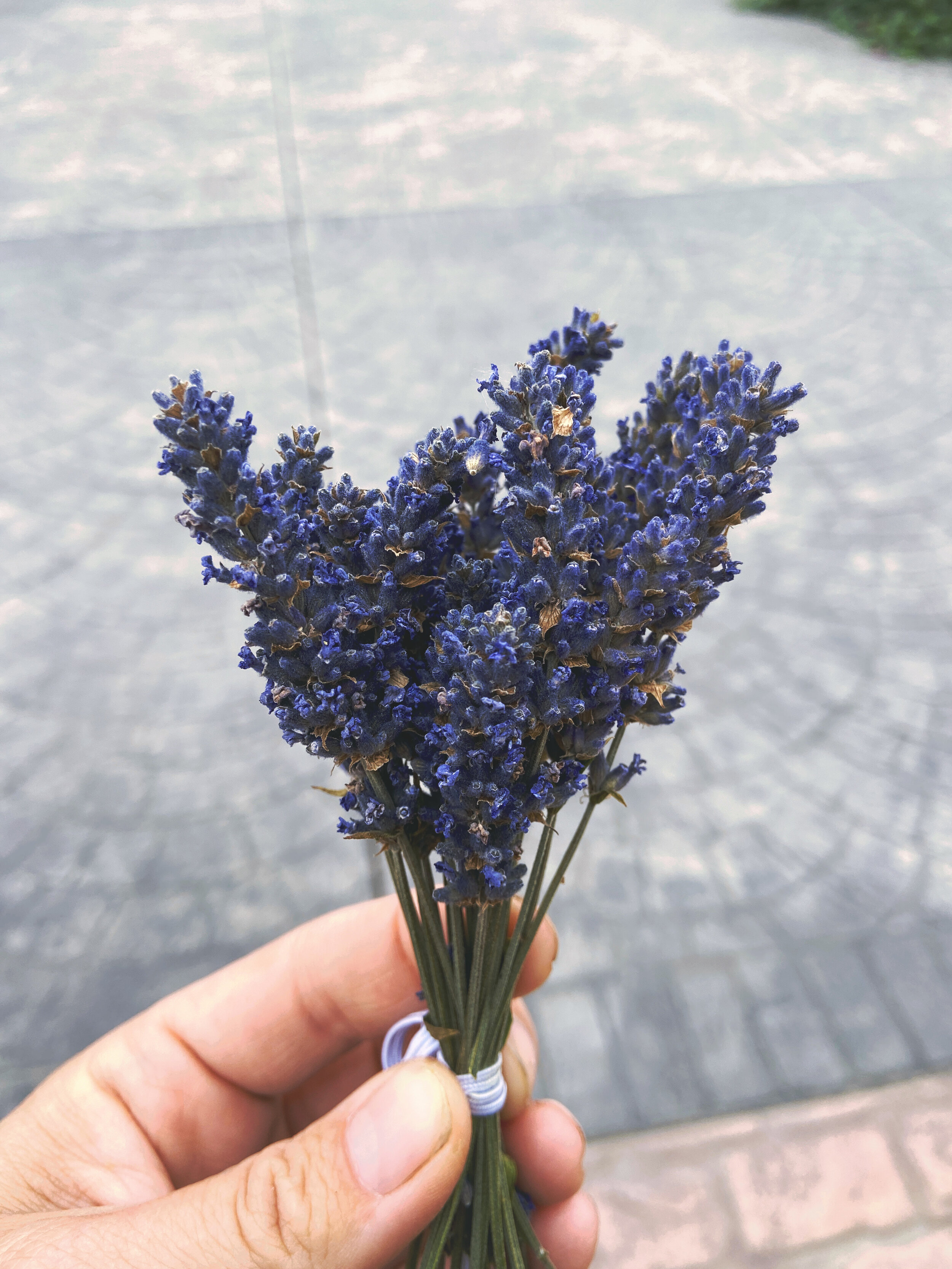 1A29C0C3-35E3-4CB2-A7F0-EC59FAF24691