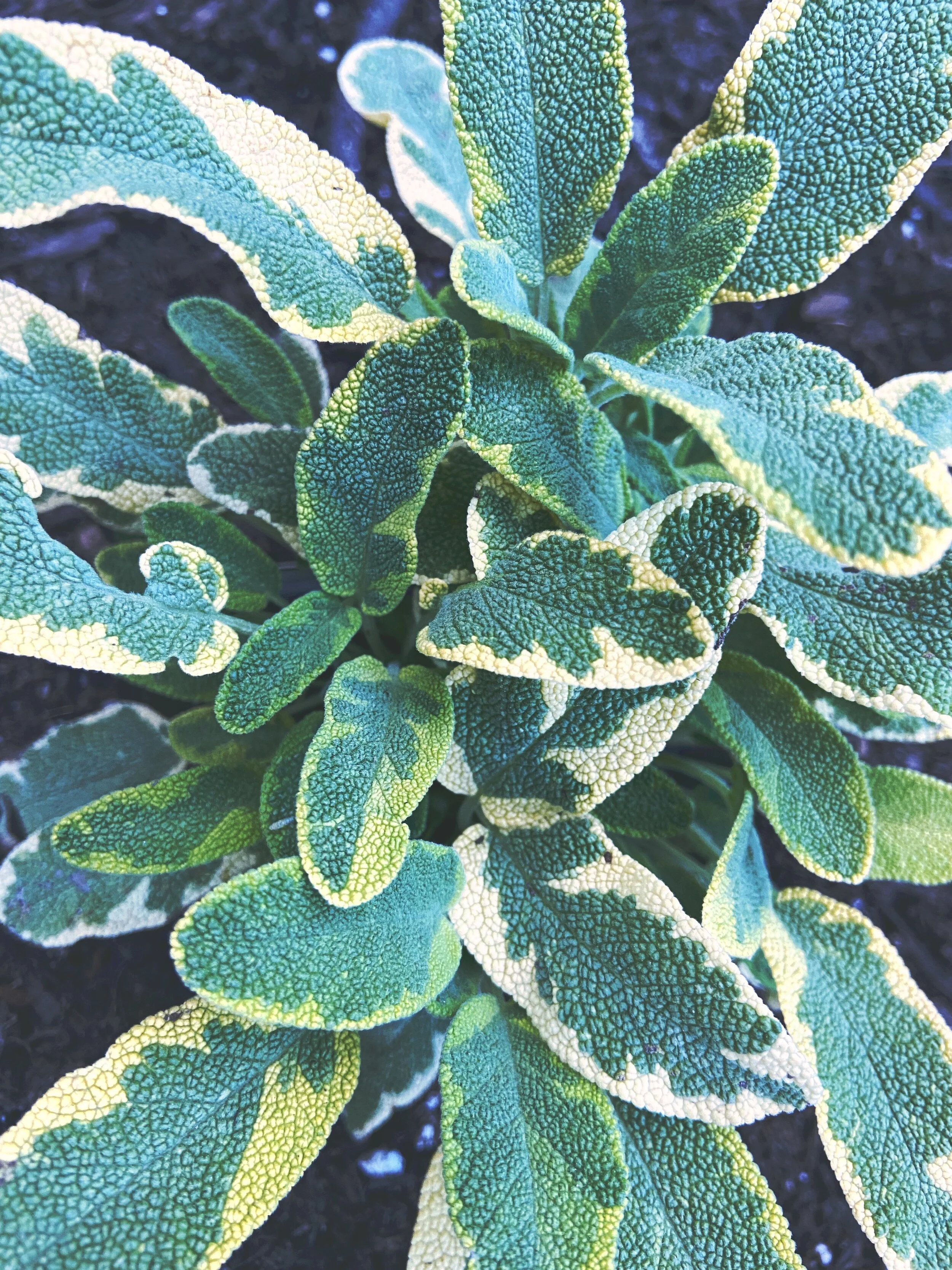 7F4BC326-9672-4752-8220-4AAE39CE859A