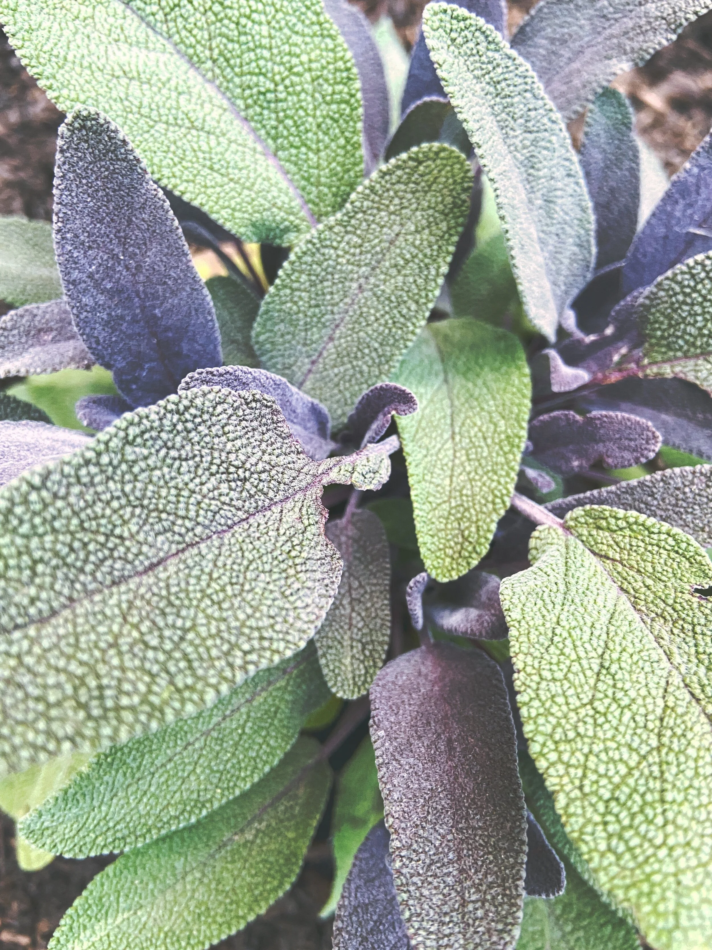 9EC0BE9C-3BD1-4E5A-8B0F-673512453C0A