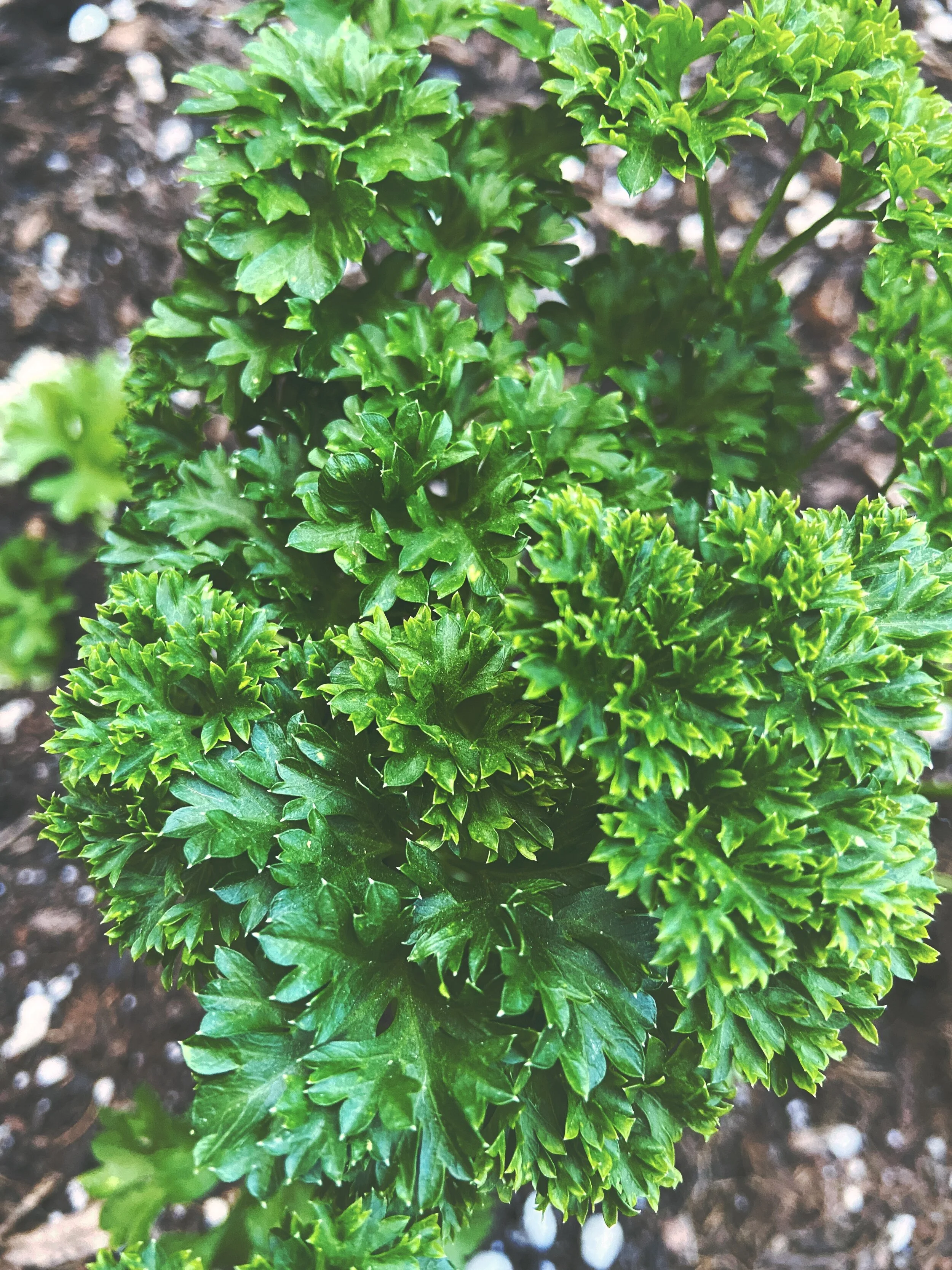 09ED191D-25EC-40CA-A675-0BCAB94B79A1