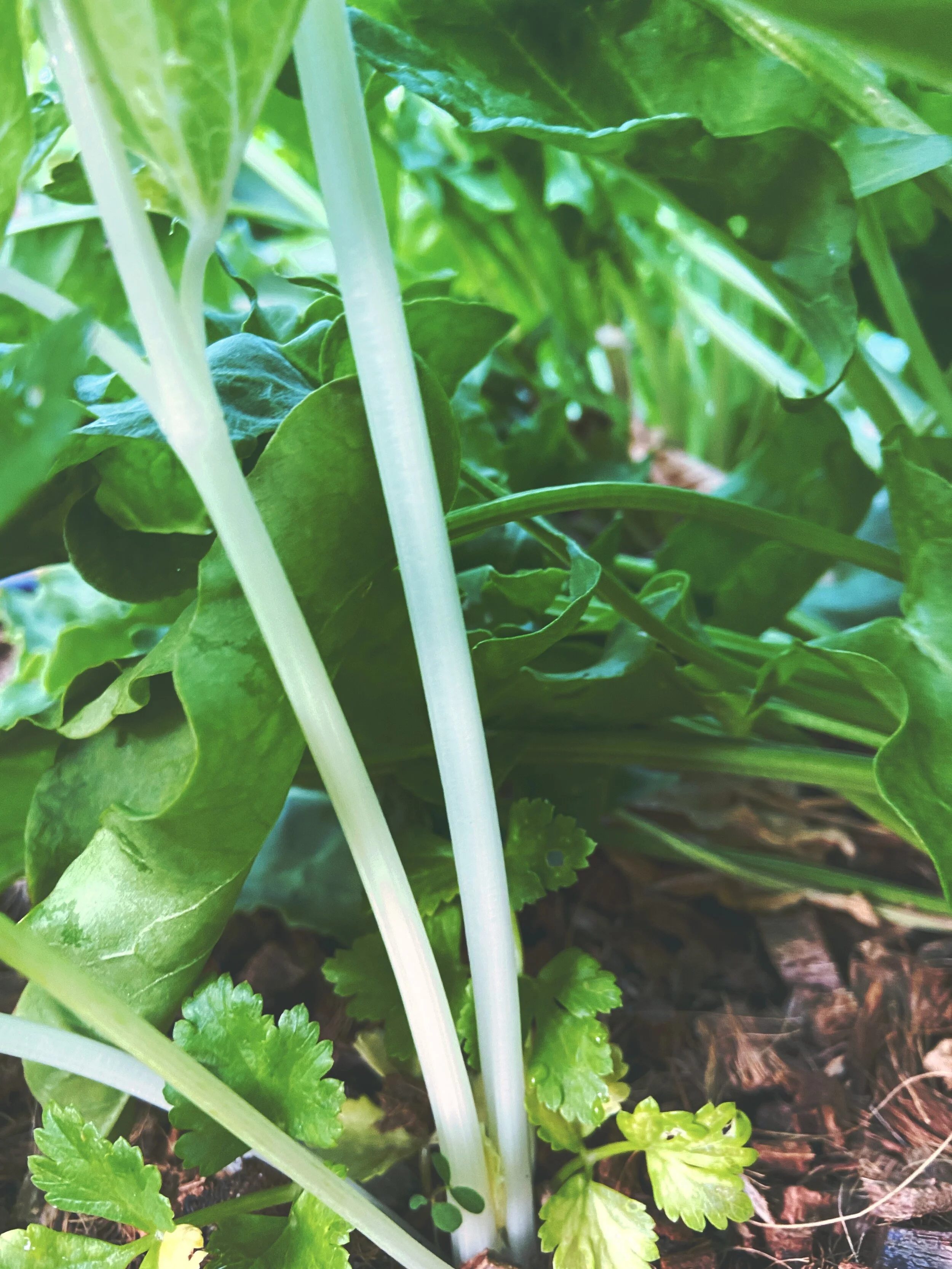 FF706309-4059-46B1-B47B-19FD57029319