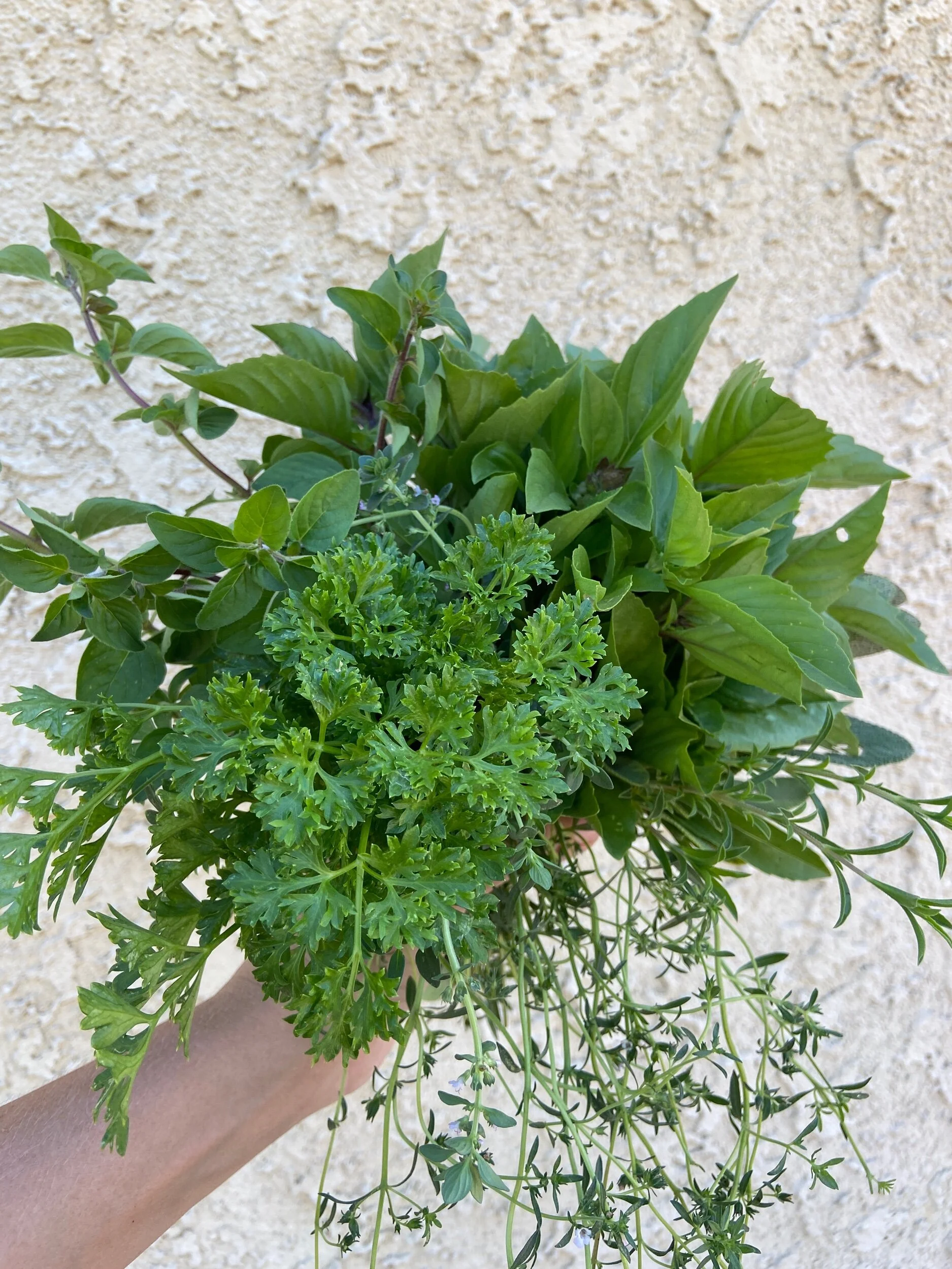 DCBC2247-94CA-40F1-BE41-45860BC2AC6B