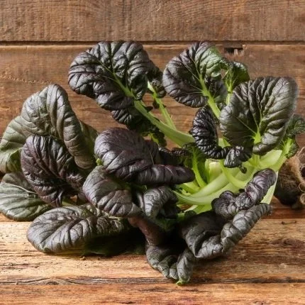 Red Tatsoi
