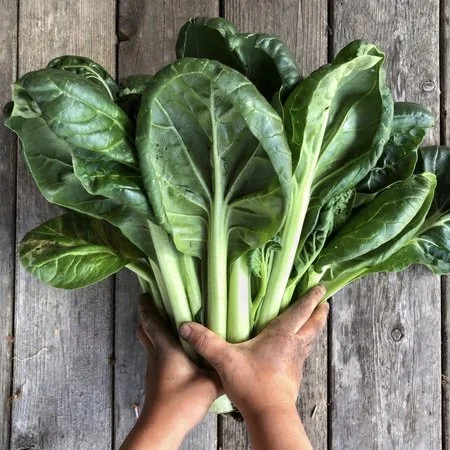 Green Tatsoi