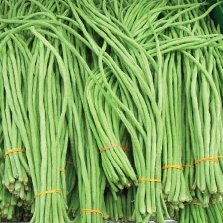 Yard Long Bean