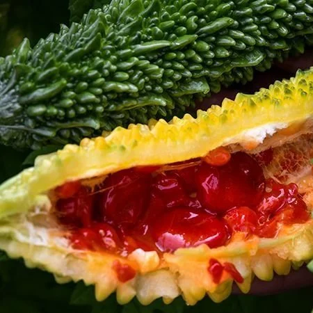 Ganjyu+Bittermelon2.jpg