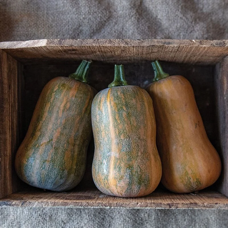 Honey Nut Squash