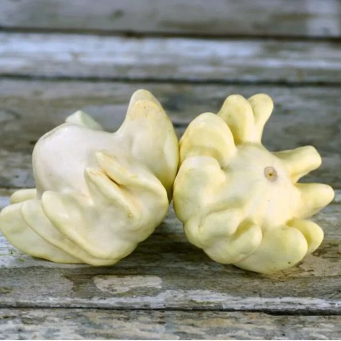 Pineapple Squash