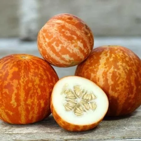 Tigger Melon