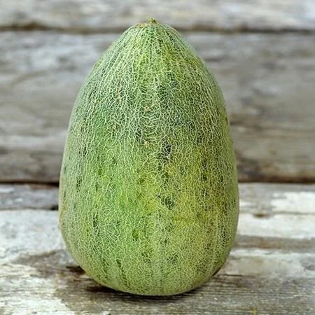 Bateekh Samara Melon