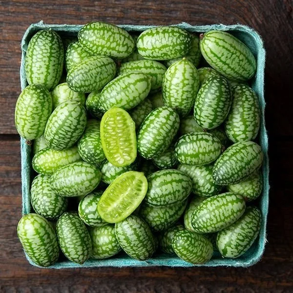 Cucamelon