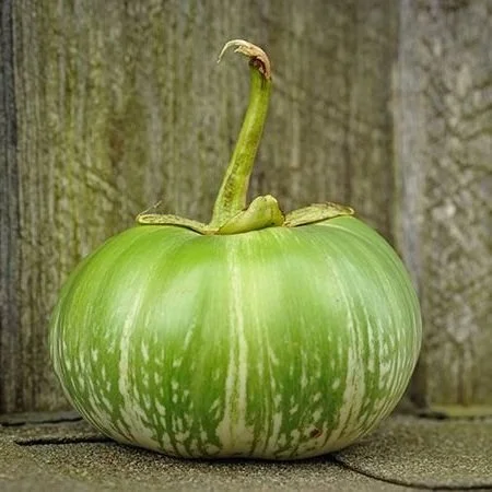 Eggplant - Cambodian