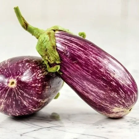Eggplant - Listuda Grandia