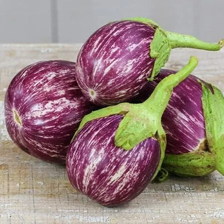 Eggplant+-+Listuda+Grandia1.jpg