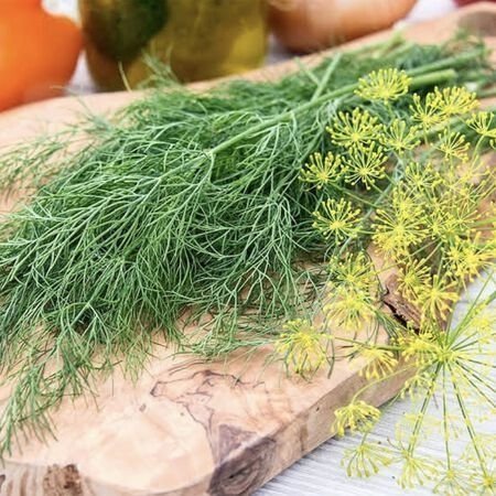 Dukat Dill