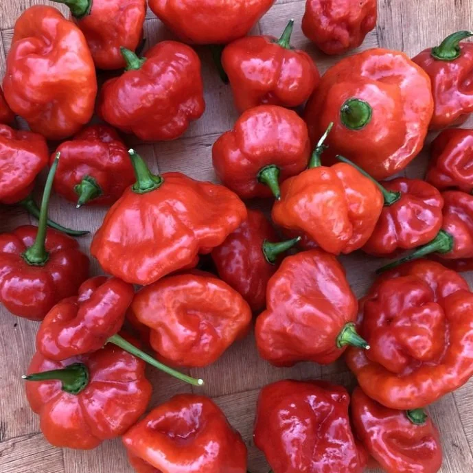 Aji Dulce