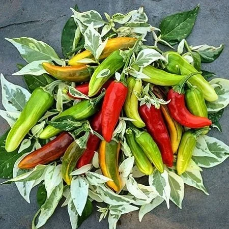 Fish+Pepper.jpg