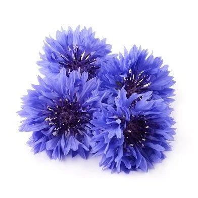 Cornflower - Blue. 40ct