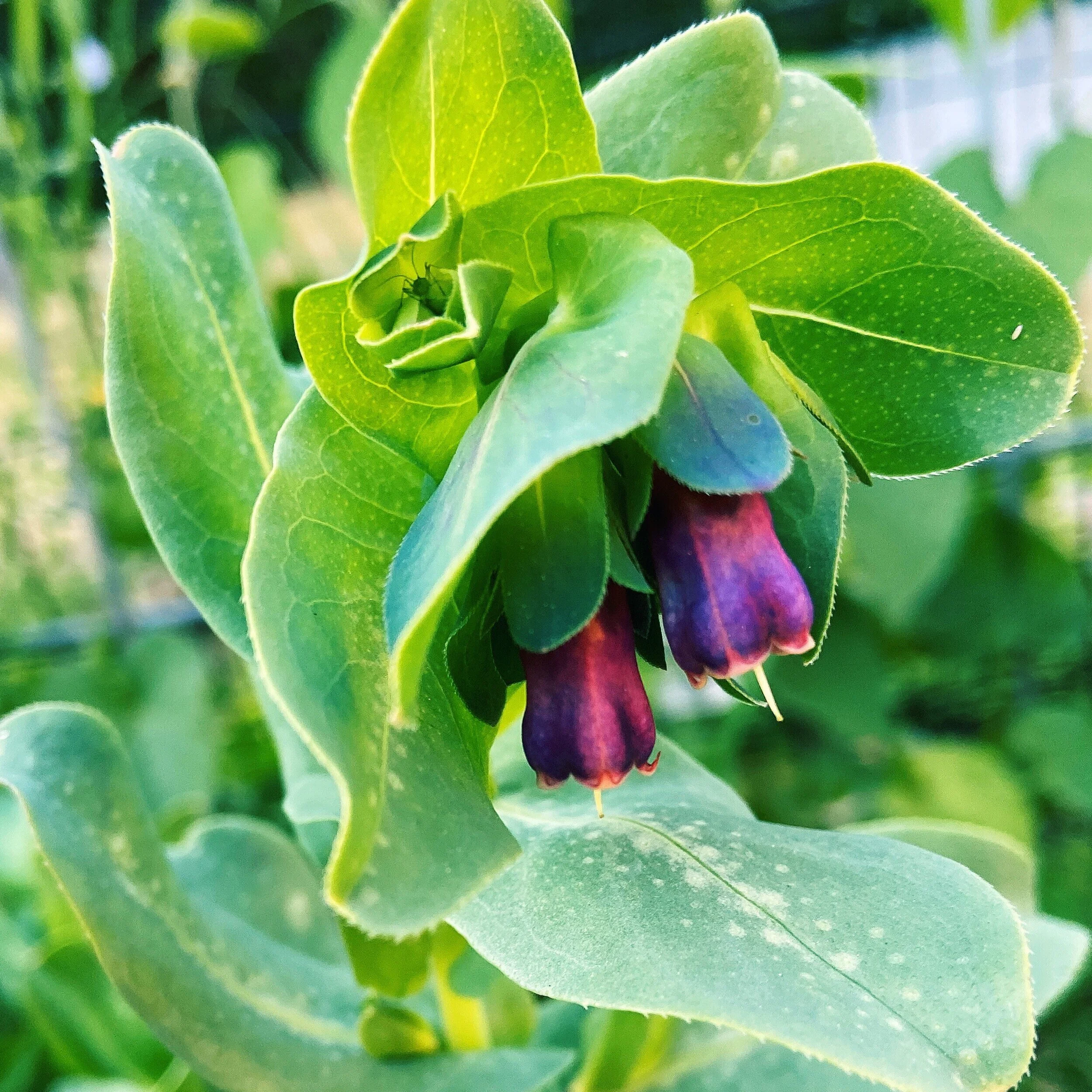 92B46B4F-B1FE-4673-A6A1-989C98100EC6