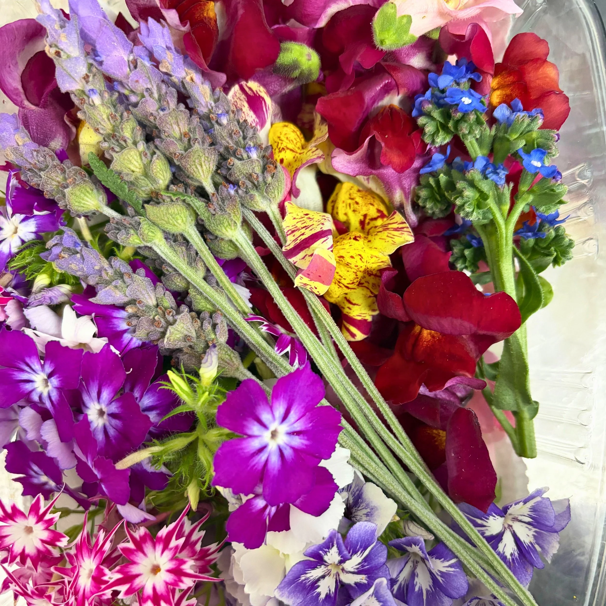 Mix Seasonal Edible Flowers