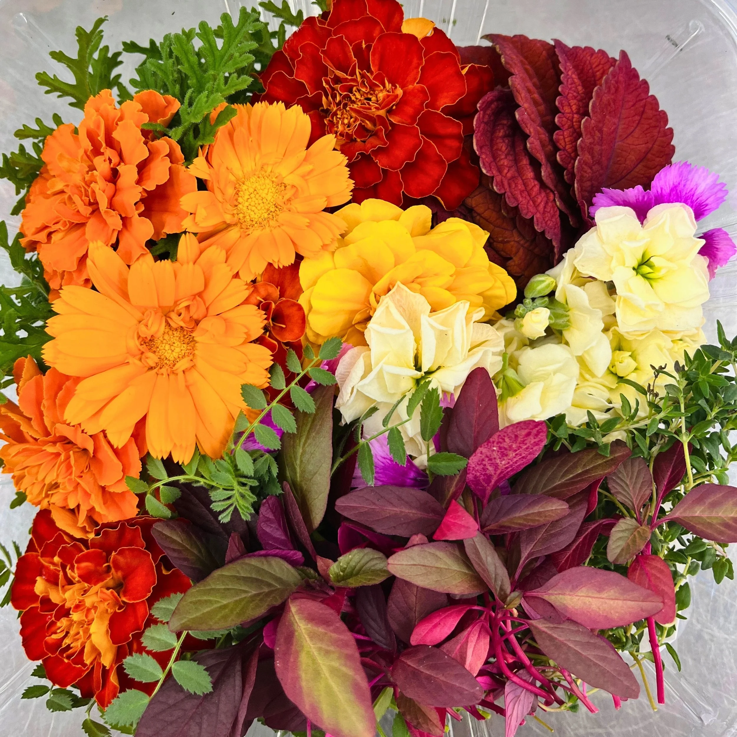 Charcuterie Flower Box .jpg