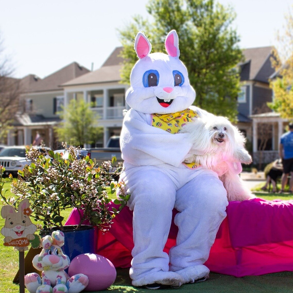 Hop into Spring Fun: CHS's Easter Bunny Photos! 🐰🌷 Saturday, March 23rd, 2024, from 8AM to 12PM. Bring pets and family to pose for a photo with the Easter Bunny, explore our selection of CHS merchandise, meet adorable pets available for adoption, a