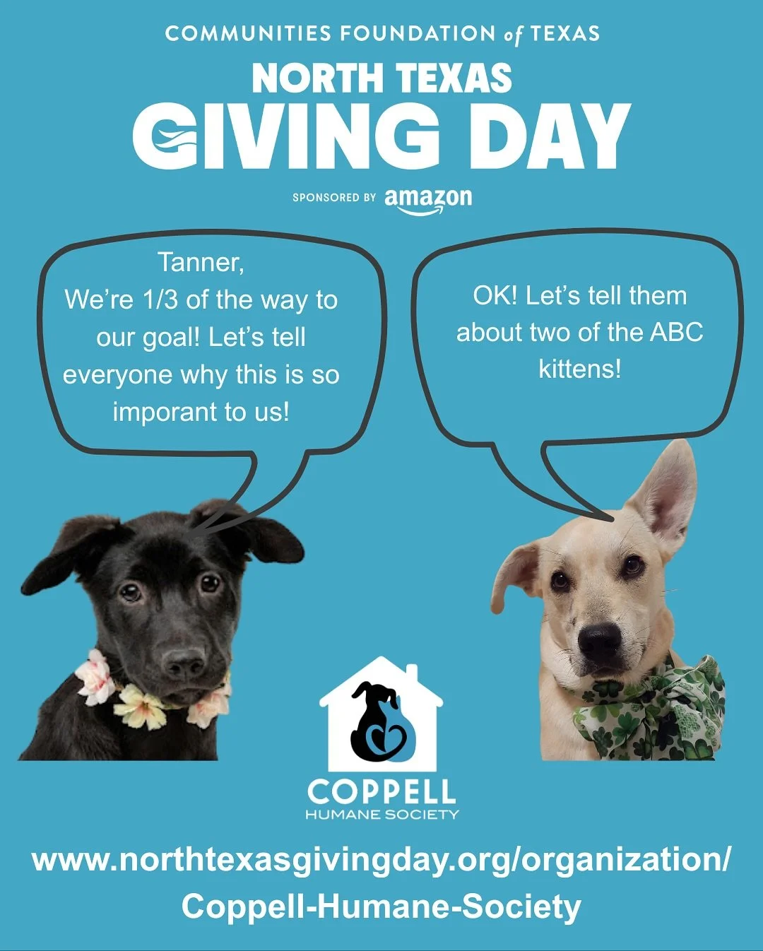 All of our ABC kittens were adopted and are very happy in their new homes! Here&rsquo;s a bit about the two boys from that litter and how we were able to get them the help they needed.