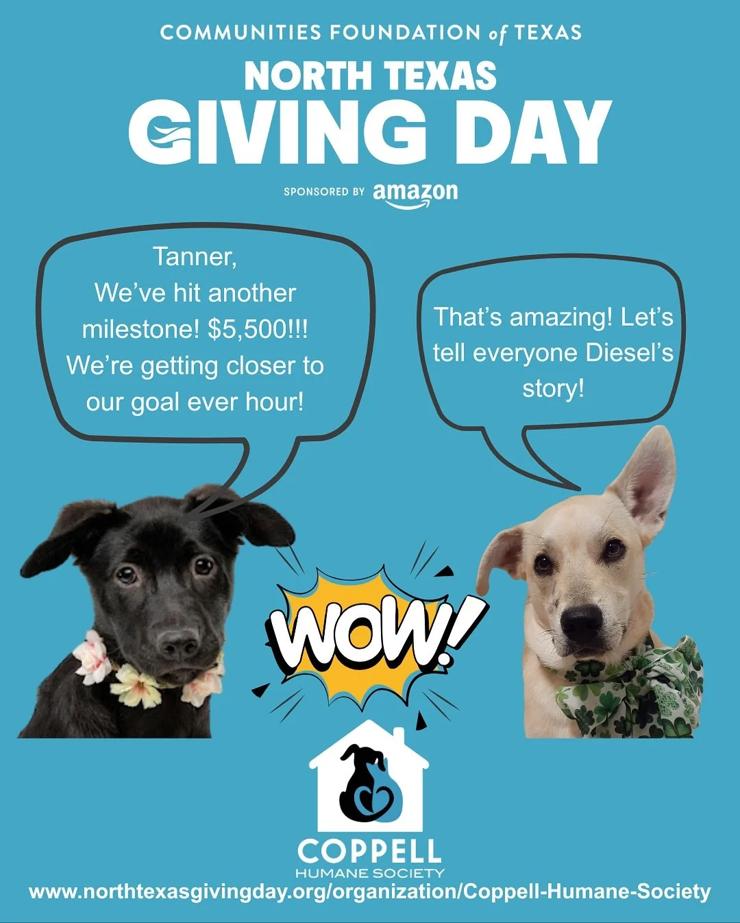 Still going strong! Let us tell you about Diesel!