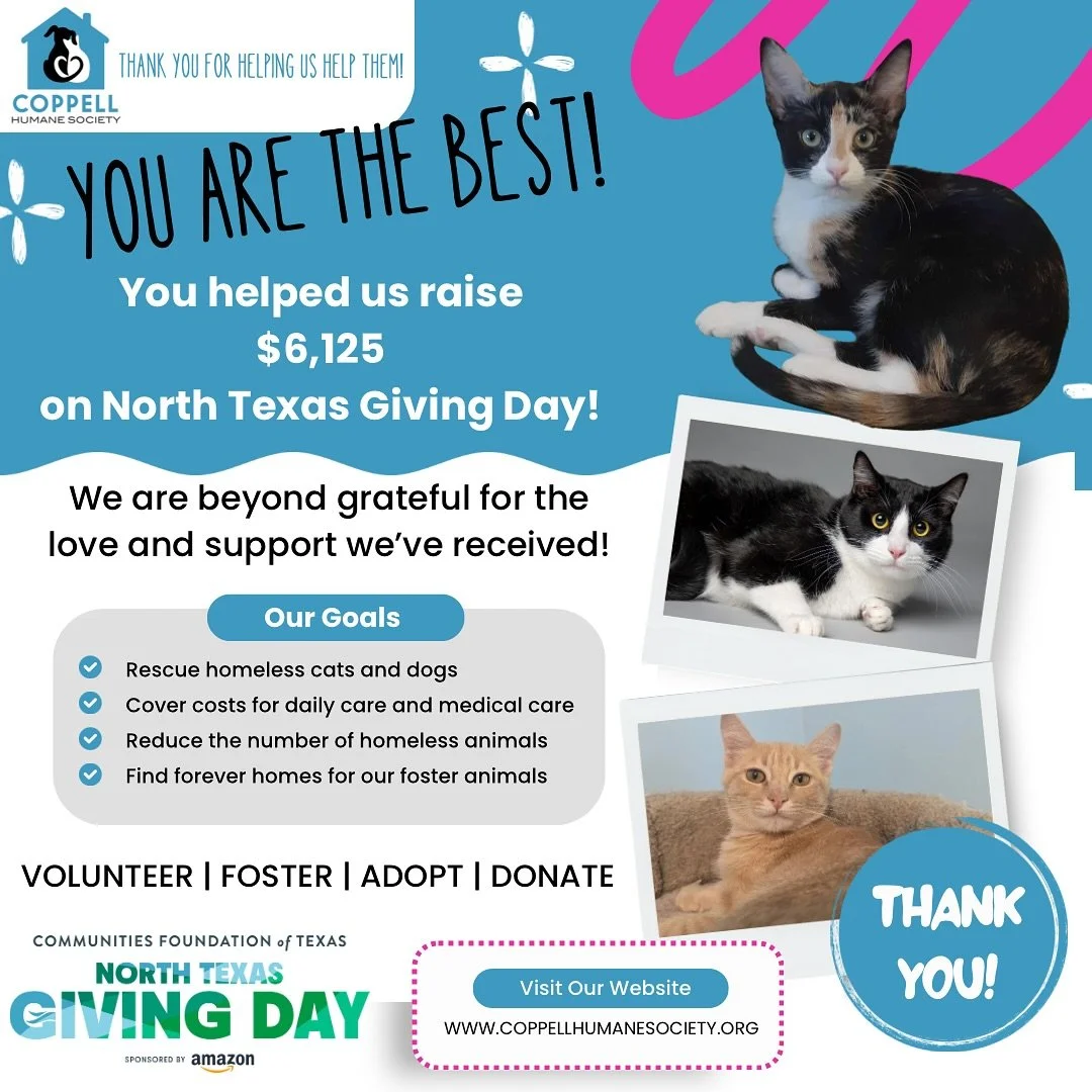 We could not have done it without you! A huge shout out to everyone who participated in this wonderful event! Special thanks to all of our amazing volunteers, foster families, and adopters, and @communitiesfoundationoftexas @northtexasgivingday @copp