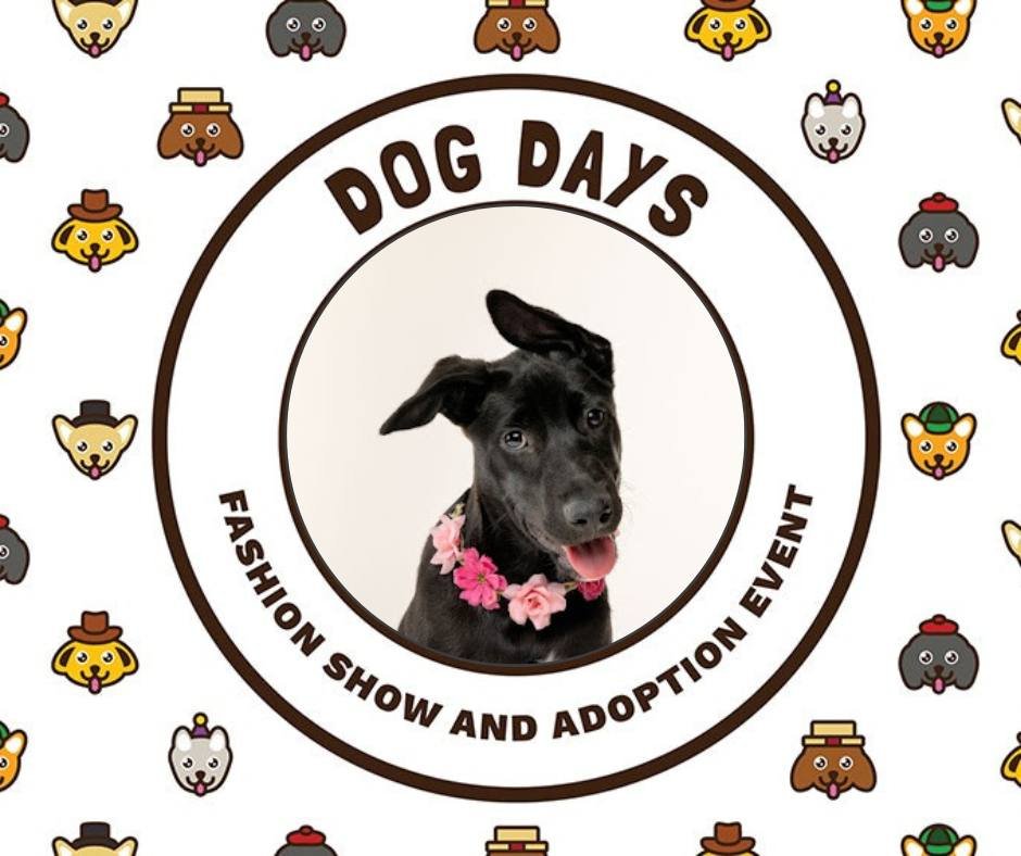 Time for your pooch to get runway ready! 📸 Join us at Dog Days Fashion Show, outside on the Grove at the Coppell Arts Center. This fun event is Saturday, October 11th, starting at 9am with fashion show kicking off 10am. Dog Days is free and registra