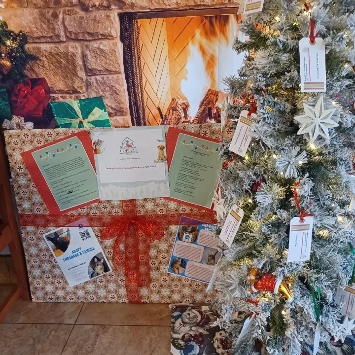 @crosstimbersamc  is graciously hosting our annual Angel Tree again this year. 👼🎄Stop by, grab a tag ornament, buy the item and then drop it back off at CTAMC. The tree will be up through Christmas. All donated items will go directly to our foster 