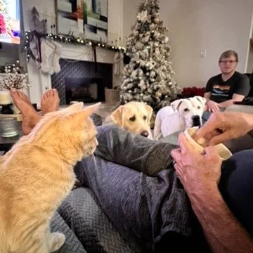 Another adoption success story! Snow White, now Luna, is loving life with her new family and her new family is loving her! 😻 She sleeps with her puppy dog lab sister, begs for people food (just like her doggy siblings), and naps all over the house. 