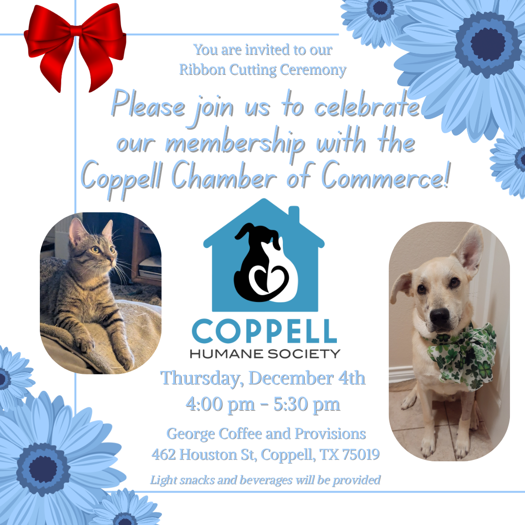 Coppell Chamber of Commerce Ribbon Cutting