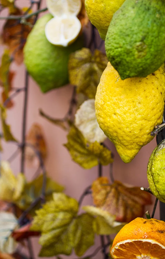 EPISODE FIVE: HOW LEMONS LED TO THE RISE OF THE MOB