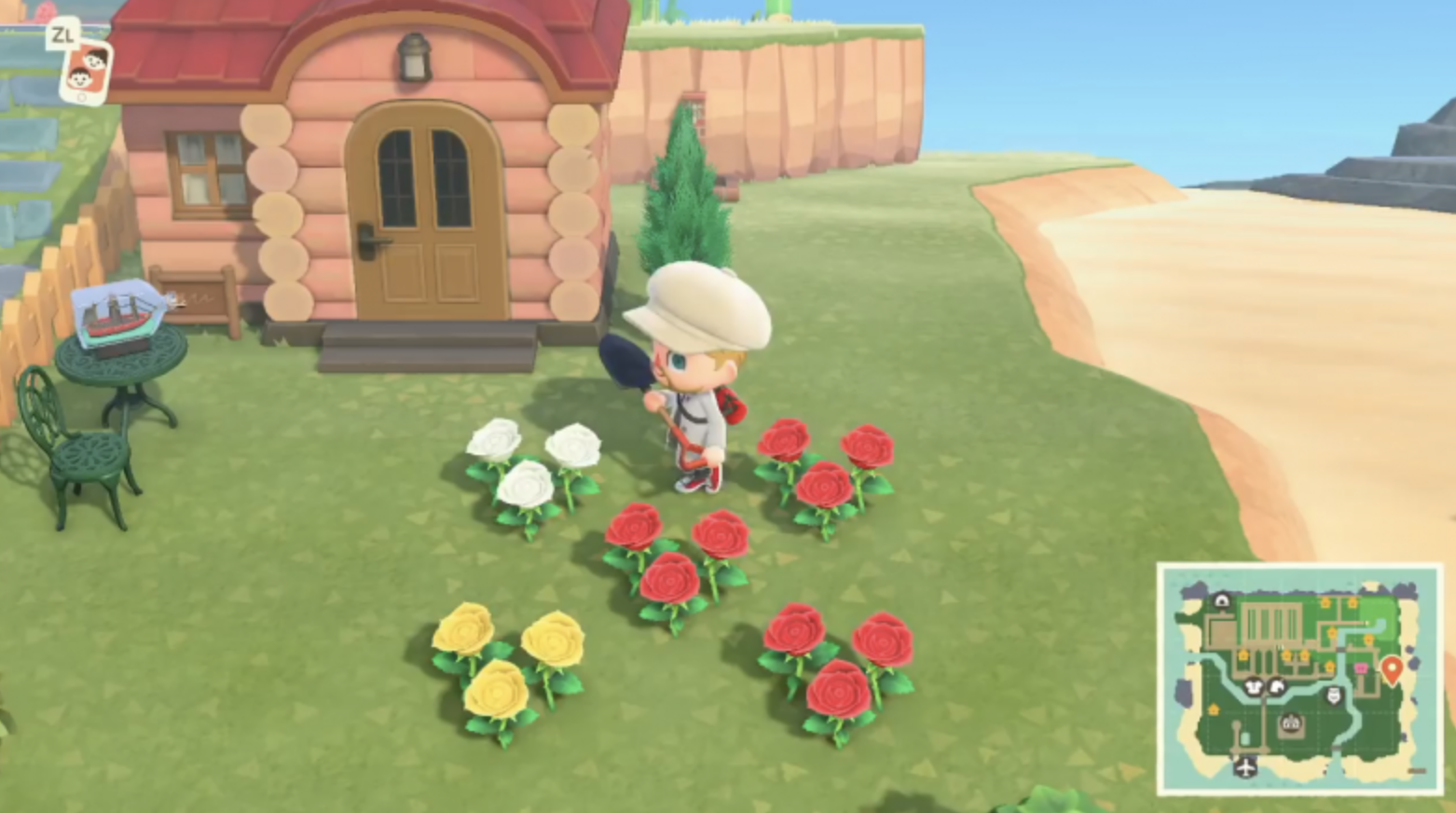 MINISEASON EPISODE ONE: ANIMAL CROSSING FLOWER THIEVES