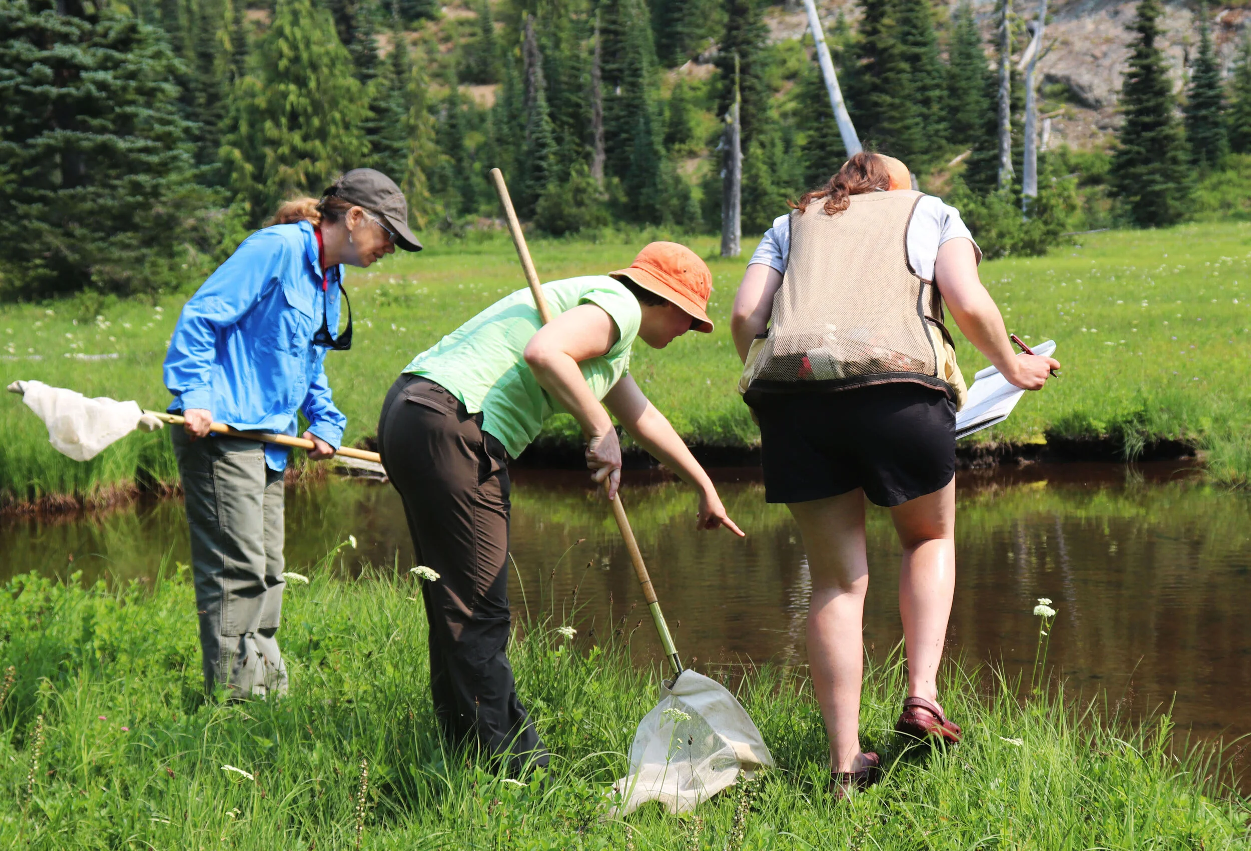 EPISODE TWELVE: HOW CITIZEN SCIENCE APPS PROTECT PLANTS