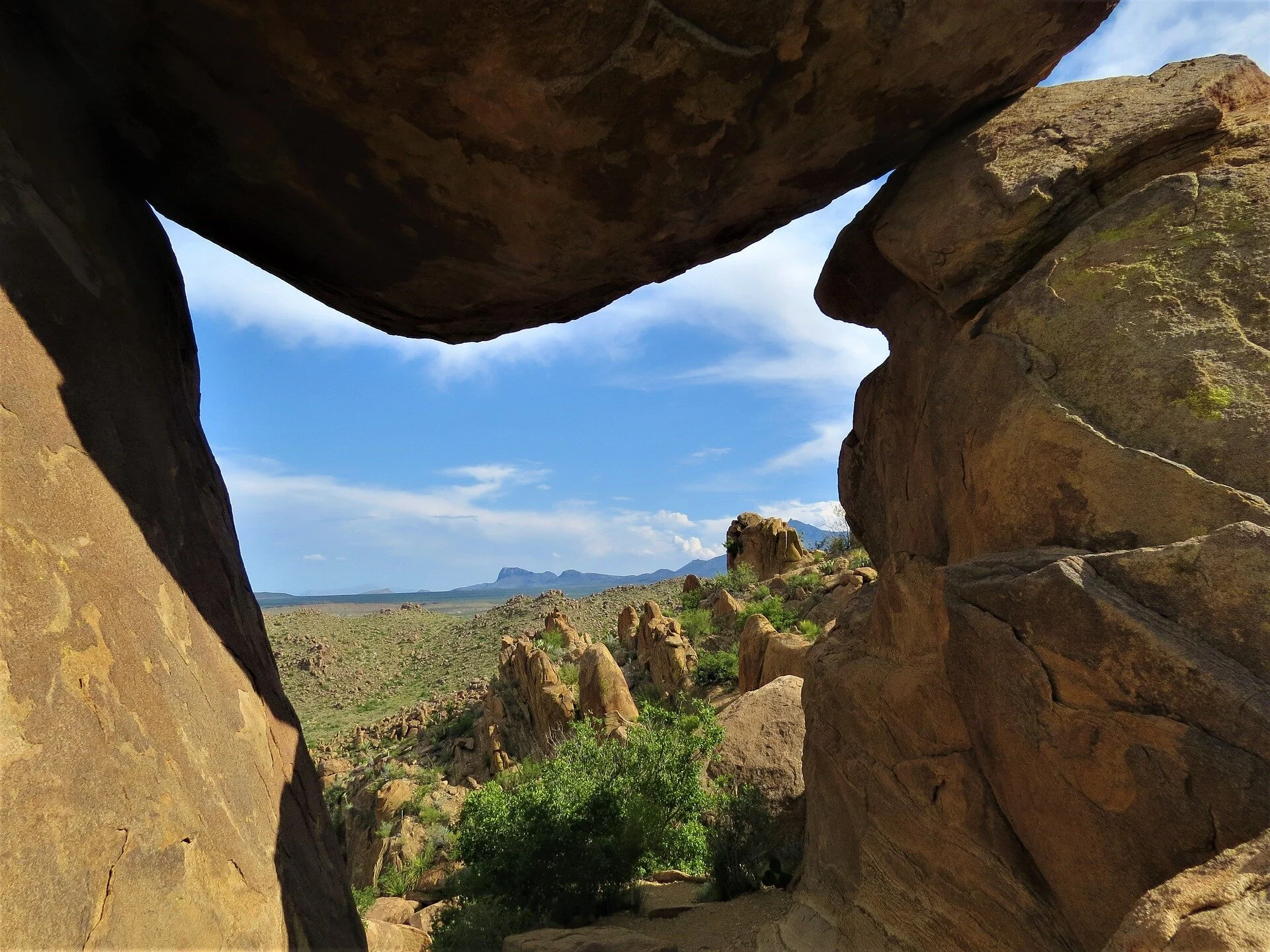EPISODE THIRTEEN: THE BIG BEND CACTUS THIEVES