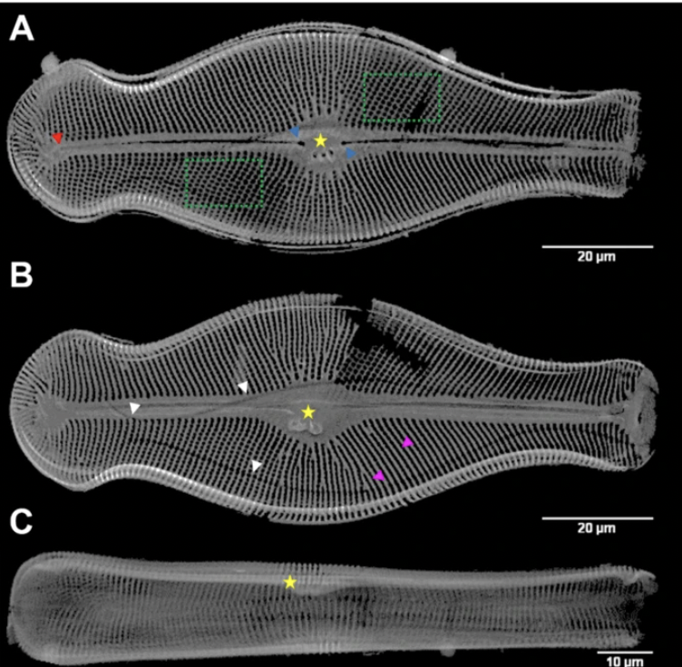 EPISODE FIFTEEN: DEATH BY DROWNING