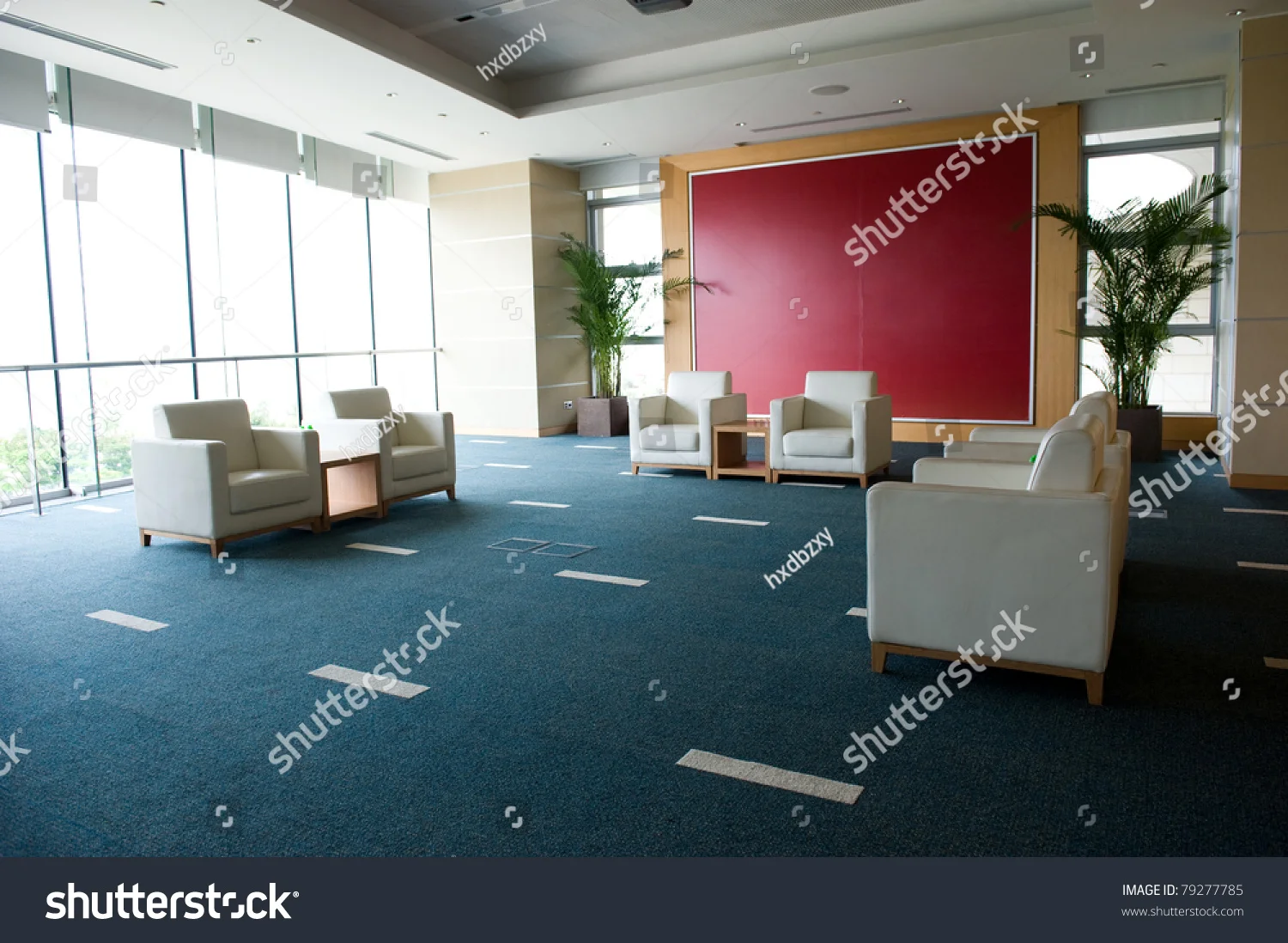 carpet 18.jpg