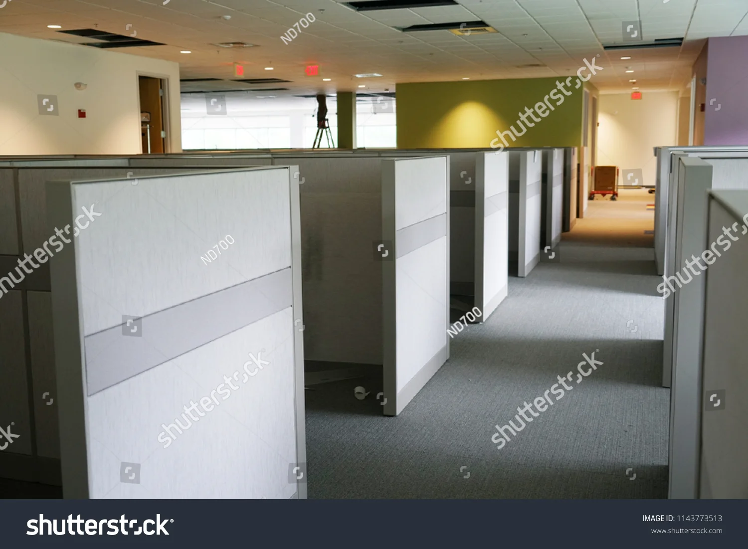 carpet 24.jpg