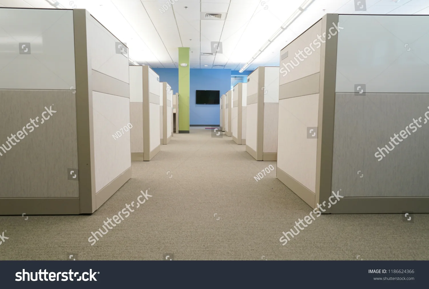 carpet 30.jpg