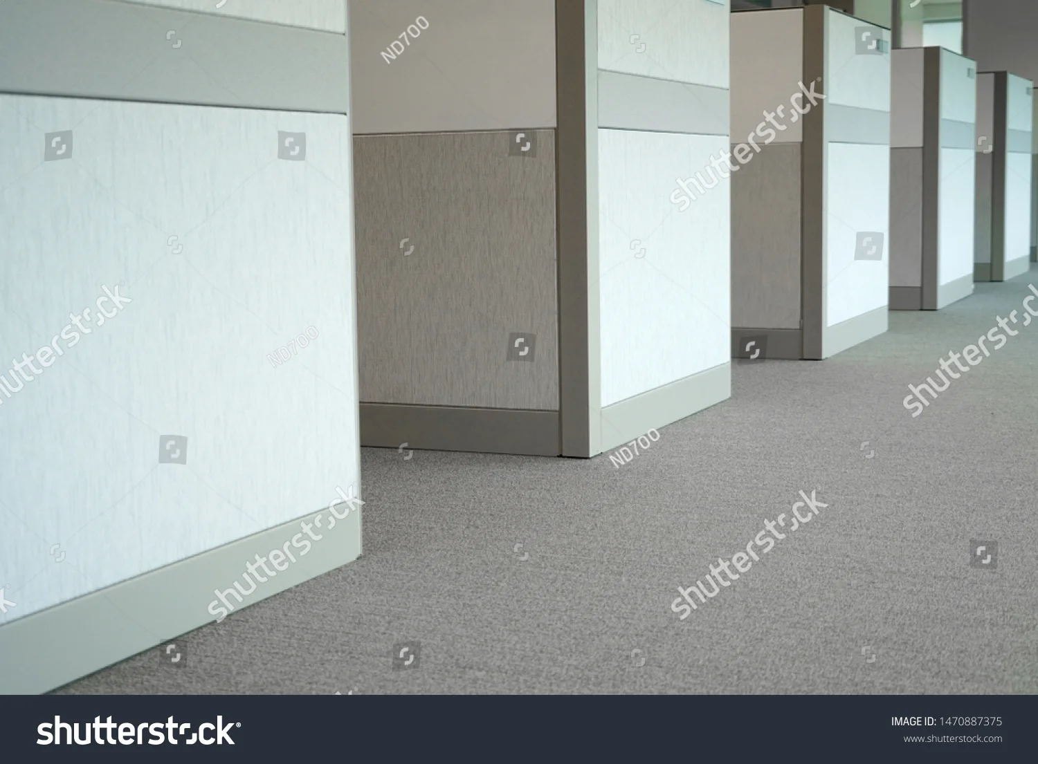 carpet 40.jpg