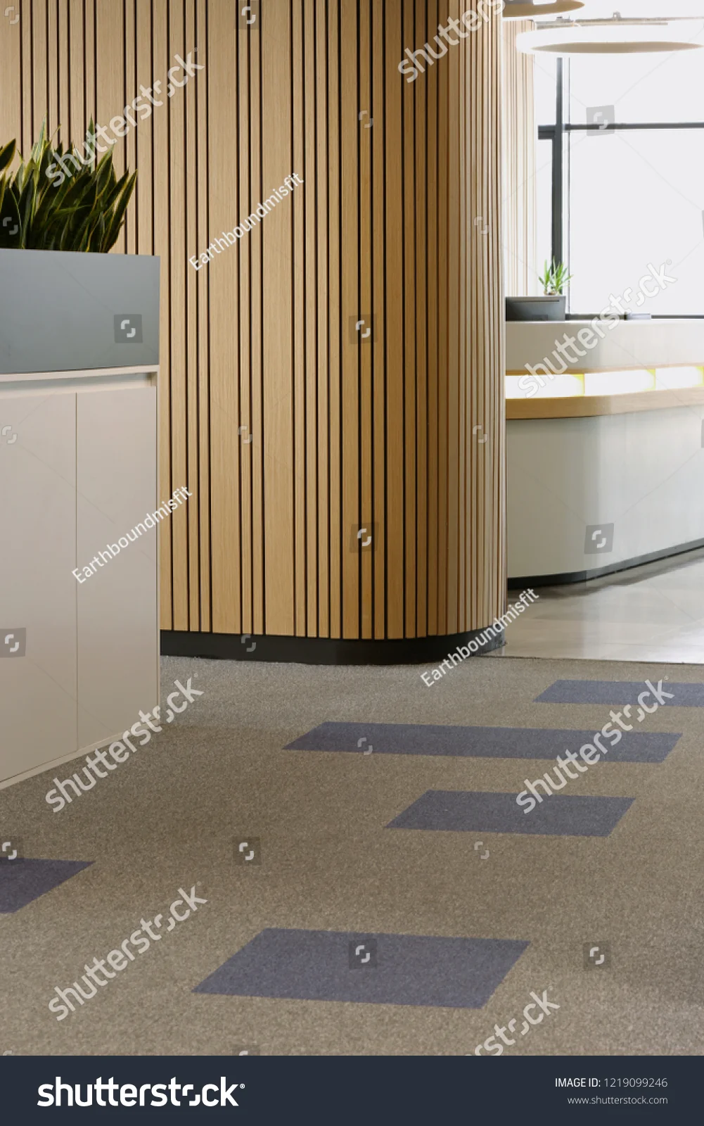 carpet 47.jpg