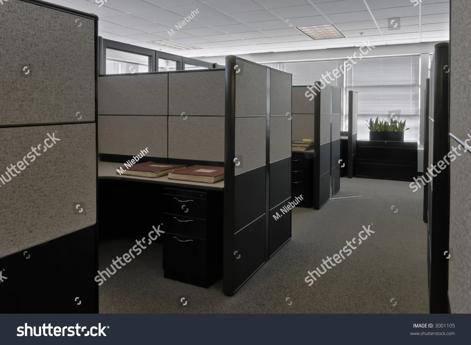 carpet 20.jpg