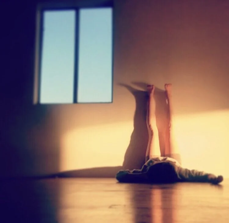 Sliding Scale Live Yoga Practice 