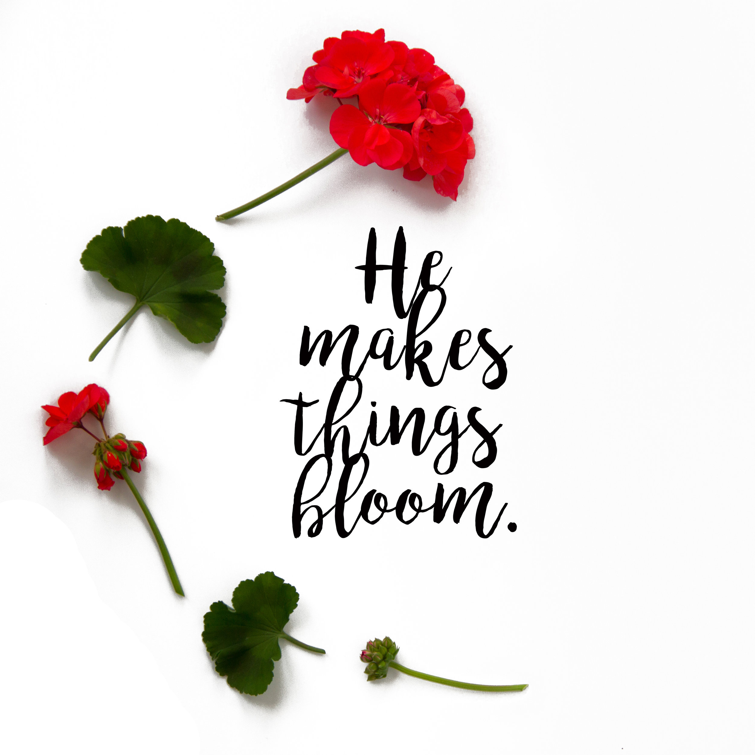 God Makes Things Bloom