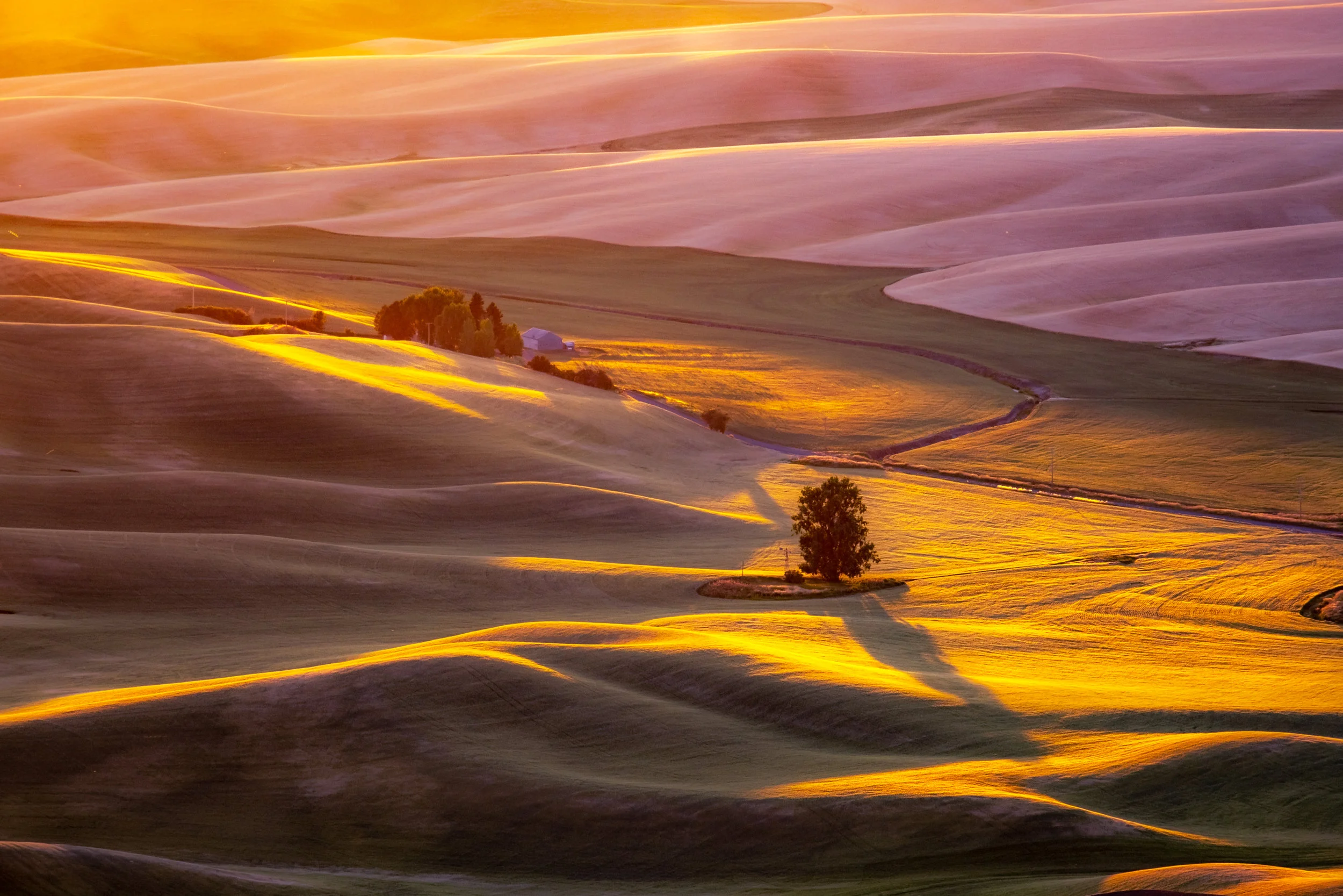 Palouse