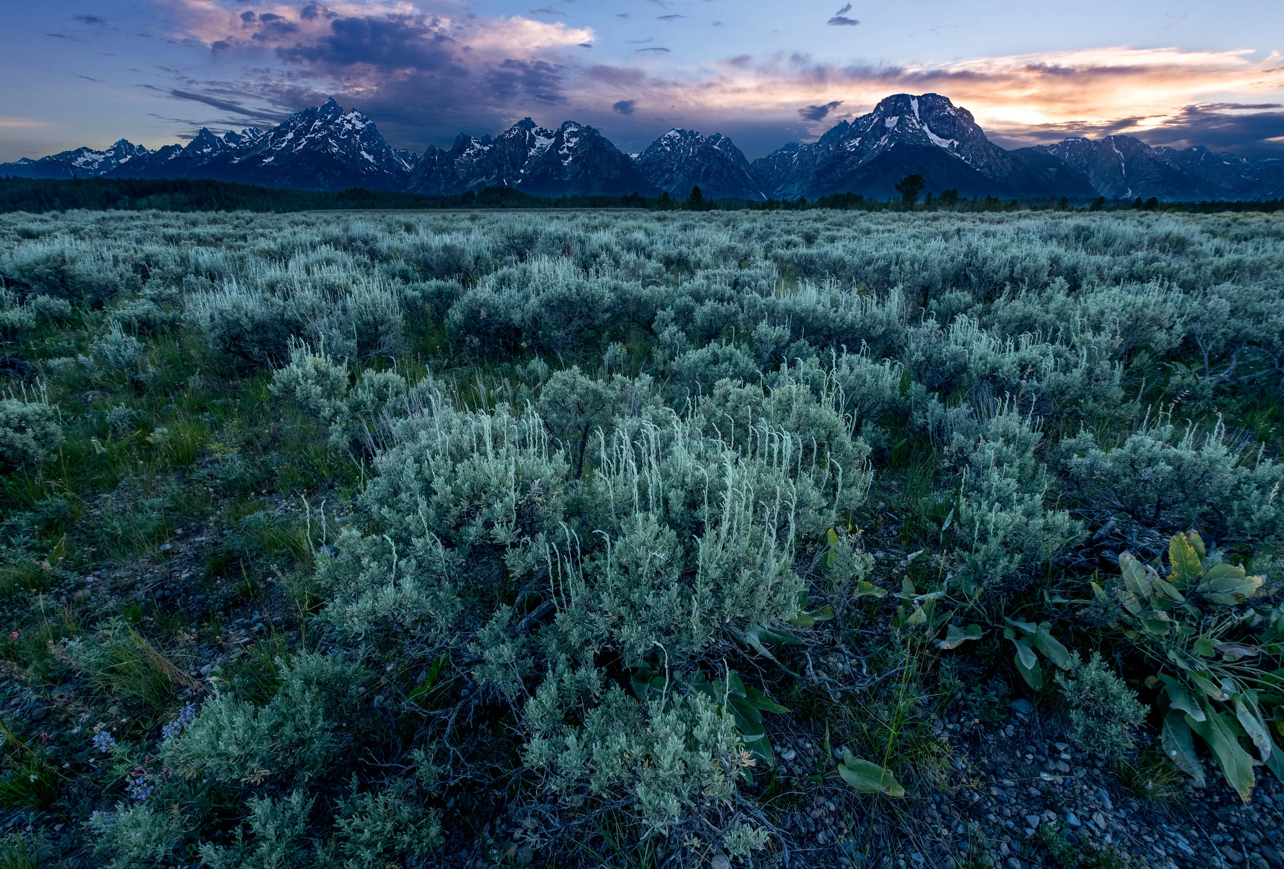 Grand Tetons II